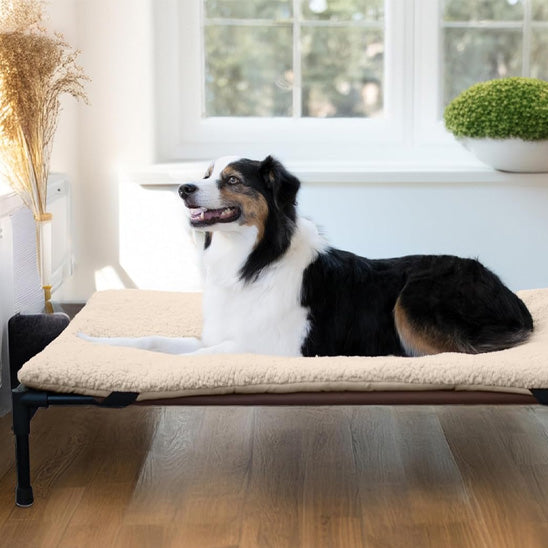 LIT POUR CHIEN SURELEVE - CouchageRespirant