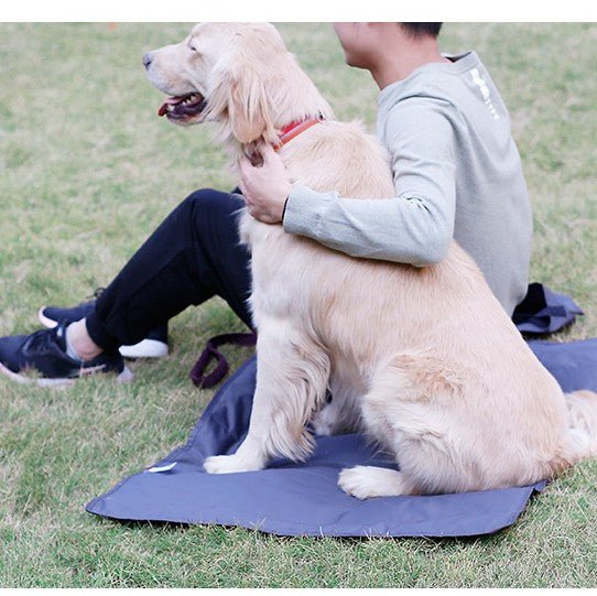 couverture imperméable chien dans jardin