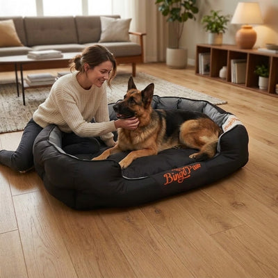 maman joue avec son toutou dans panier chien XXL