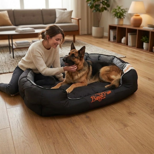 maman joue avec son toutou dans panier chien XXL