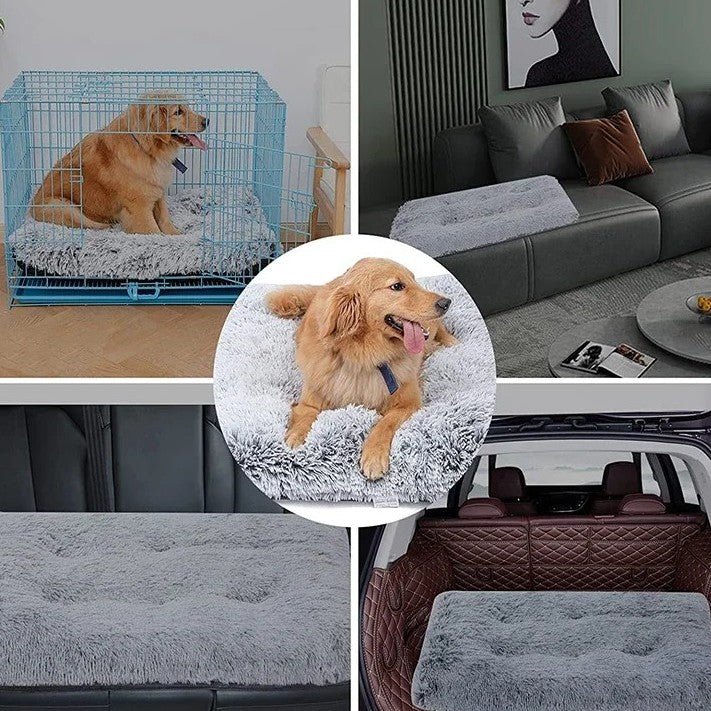 matelas pour chien déhoussable multifonction