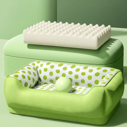 mousse de canape petit chien