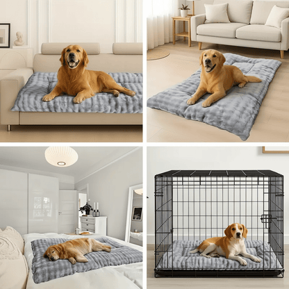 multifonction de matelas pour chien xxl doux et moelleux
