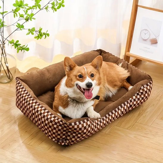 panier pour chien