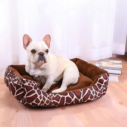 panier pour chien