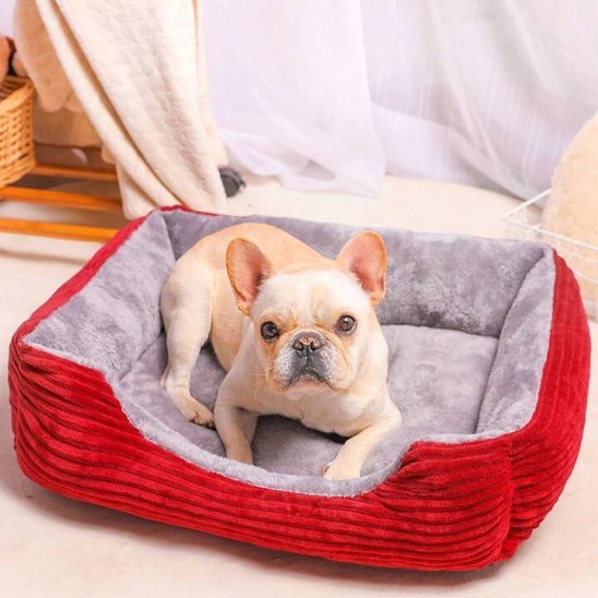 panier pour chien
