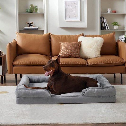 panier chien orthopedique moelleux dans salon