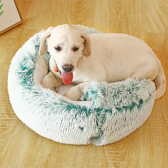panier chien semi ferme gris