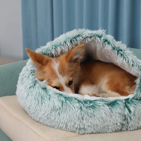 panier chien semi ferme chaud