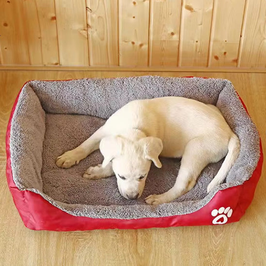 panier pour chien rouge