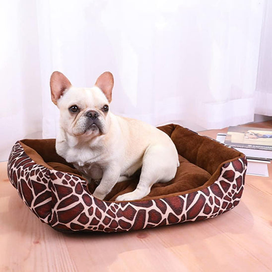 panier pour chien zebre