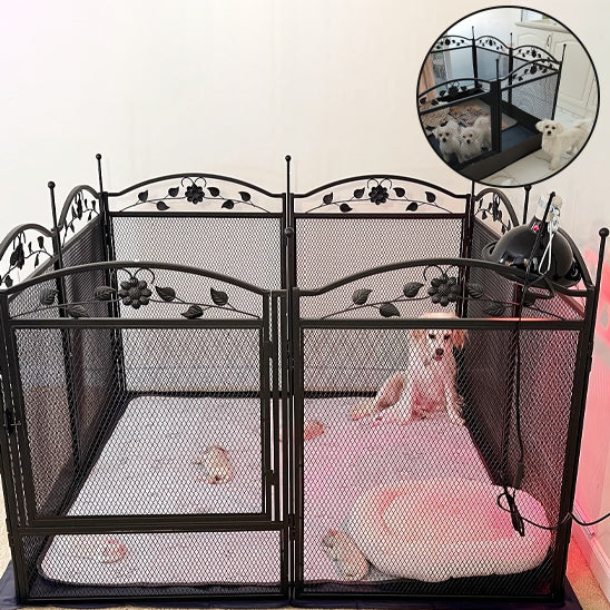 parc pour chien décoré