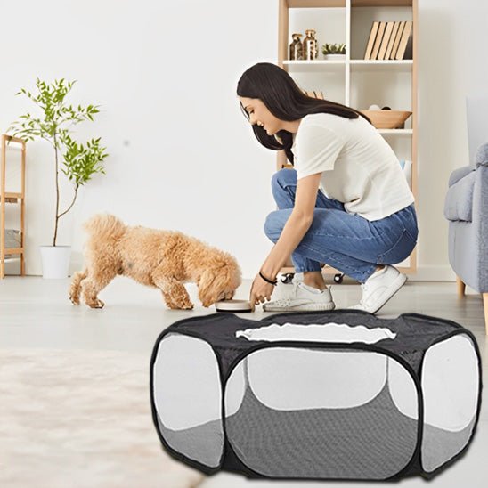 parc pour chien dans salon moderne 
