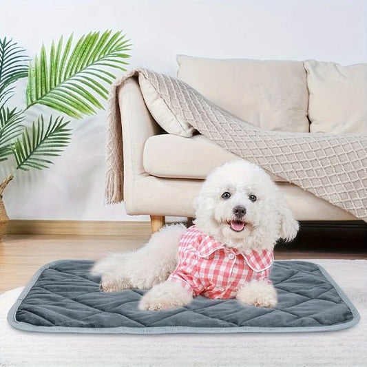 partager le salon sur son tapis pour chiens