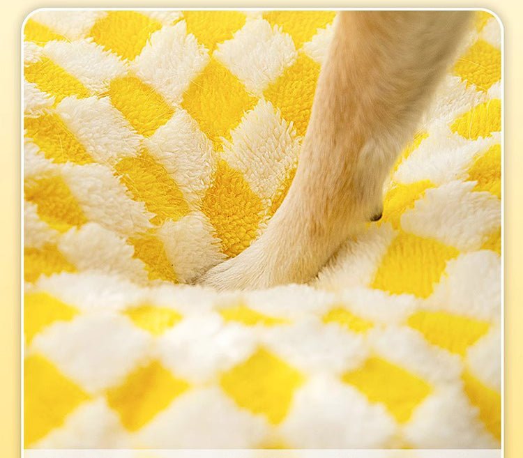 patte chien sur canape pour chien crocodile chaud