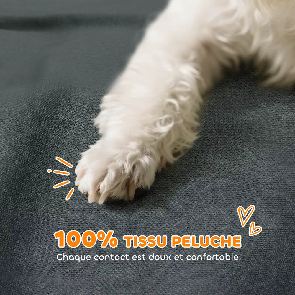 patte de toutou sur canape pour petit chien en peluche