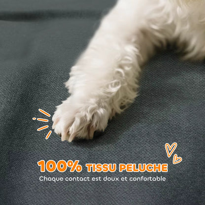 patte de toutou sur canape pour petit chien en peluche