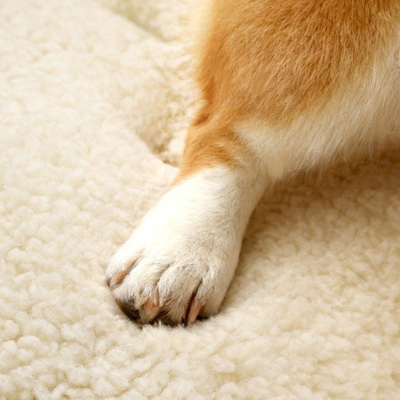 patte de toutou sur  lit douillet en coton