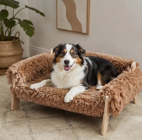 petit canapé pour chien Contours épais 