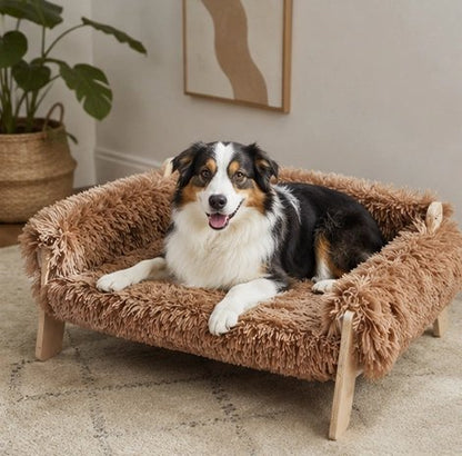petit canapé pour chien Contours épais 