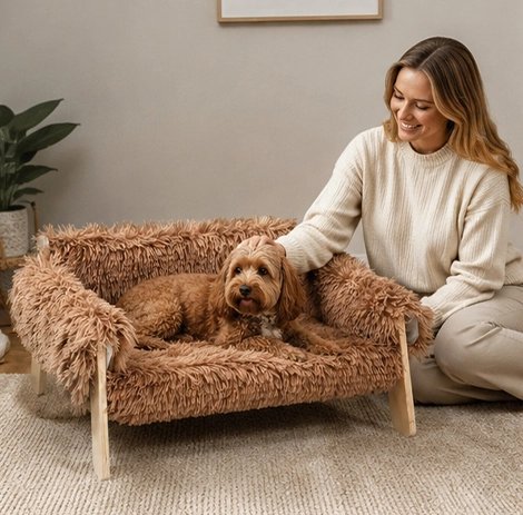 petit canapé pour chien Design surélevé