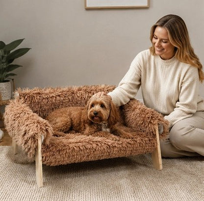 petit canapé pour chien Design surélevé