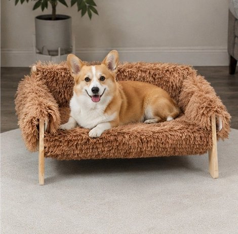 petit canapé pour chien élégant 