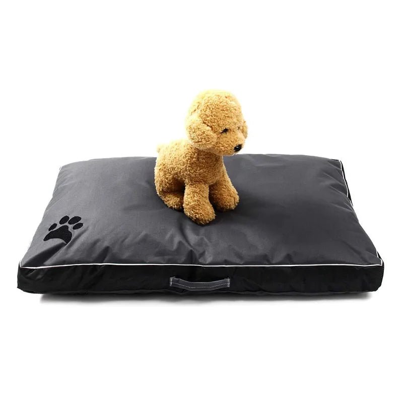 petit chien dans lit pour chien antiderapant_impermeable