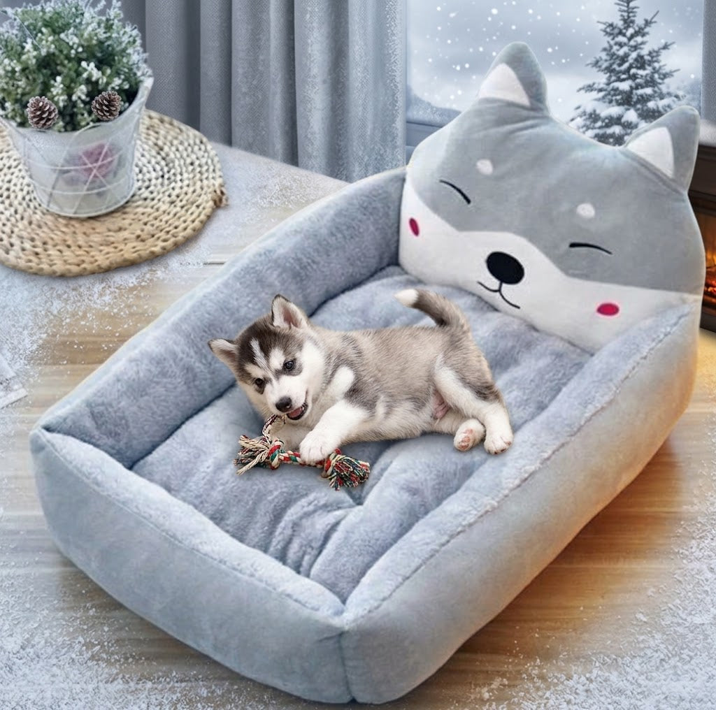 petit toutou joue dans panier chien chaud