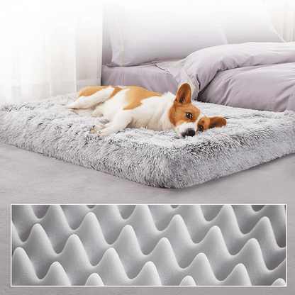 éponge de matelas pour chien déhoussable