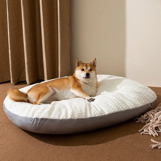 regard d un chien dans panier chien ergonomique blanc gris