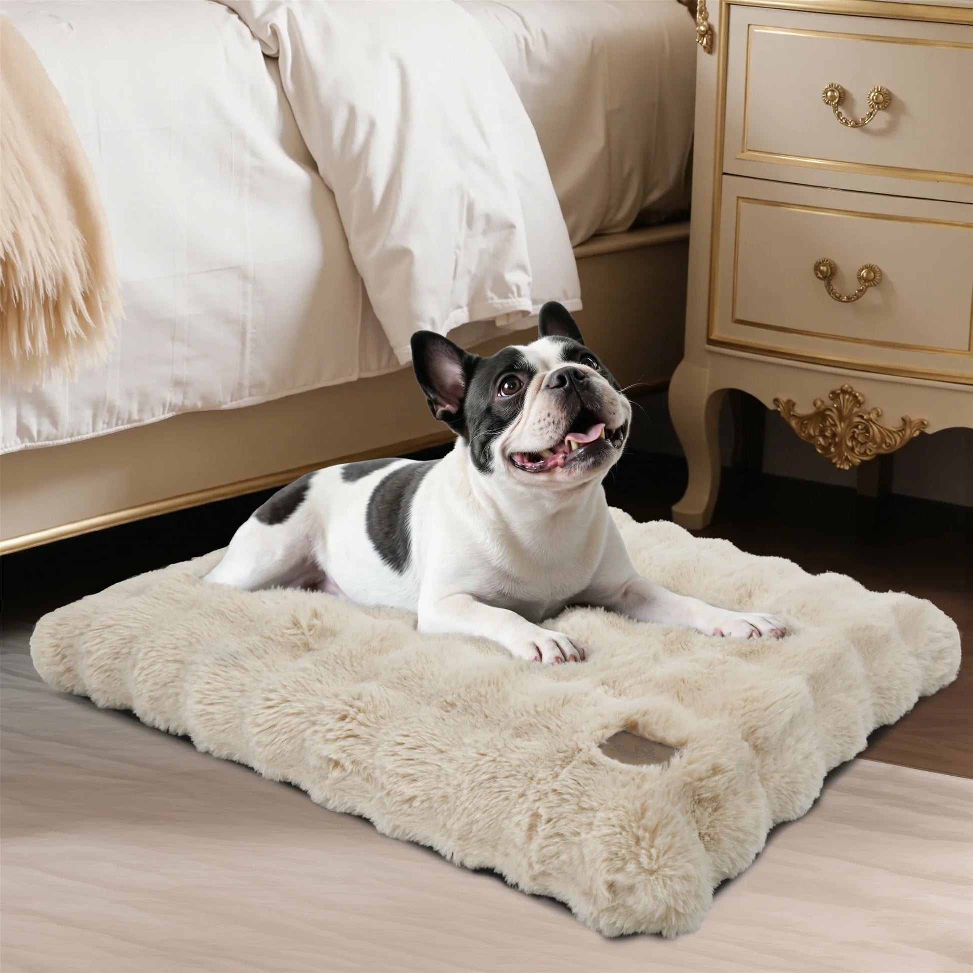 sourire chien dans lit pour chien confort moelleux kaki