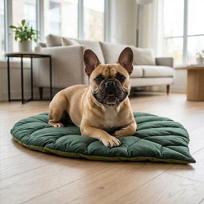 Tapis Chien adapté aux articulation animal 