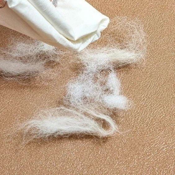 tapis rafraîchissant chien epais anti poils