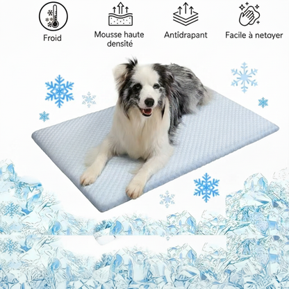 tapis rafraichissant chien grand taille facile a nettoyer