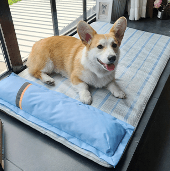 tapis rafraichissant chien imperméable