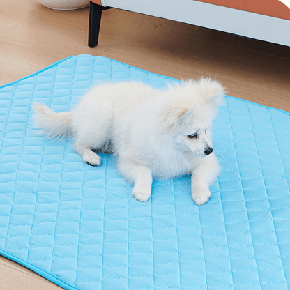 tapis rafraichissant pour chien bleu lavable