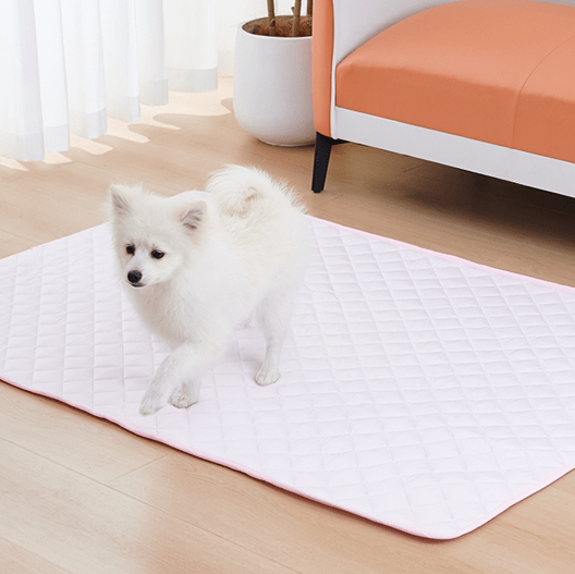 tapis rafraichissant pour chien dans salon blanc