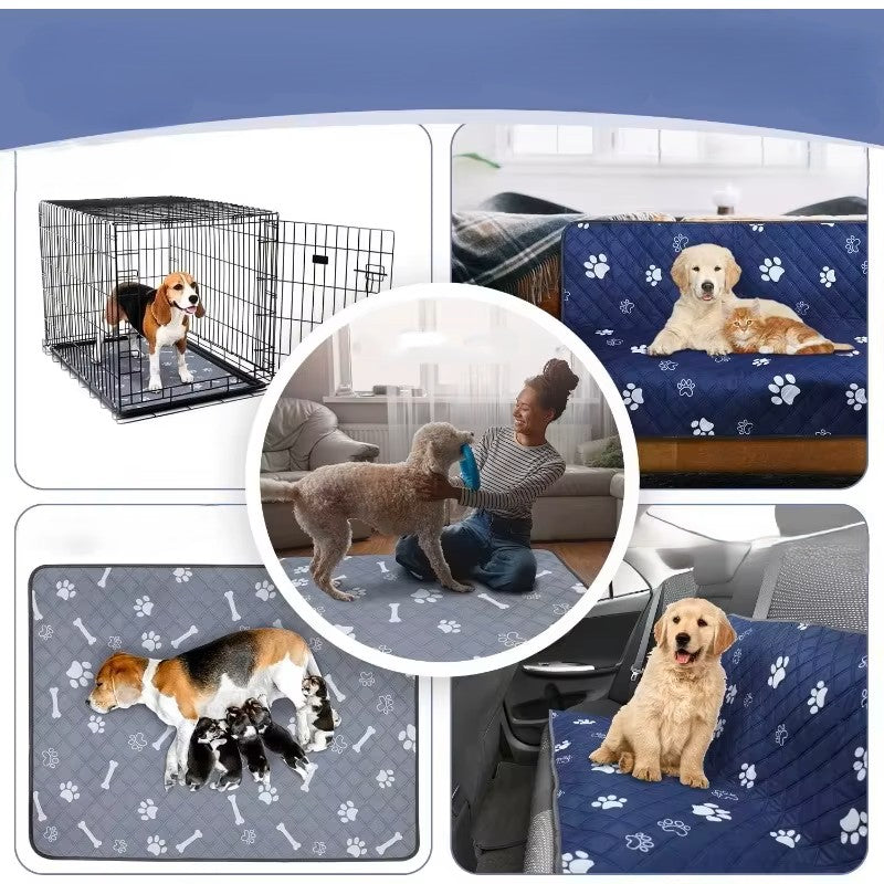 tapis rafraichissant pour chien xxl multifonction