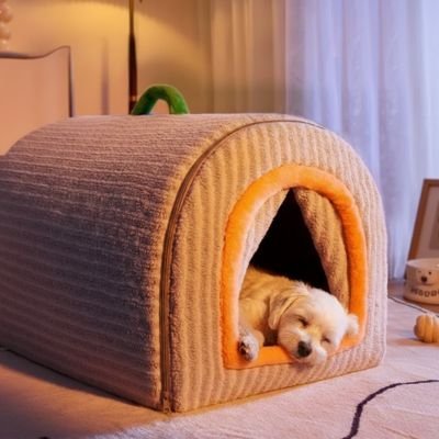 toutou allonger dans maison  Chien interieur 