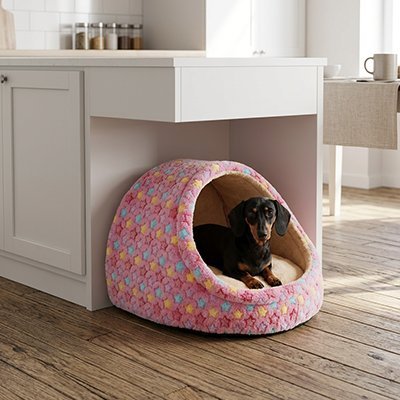 toutou allonger dans panier pour Chien 