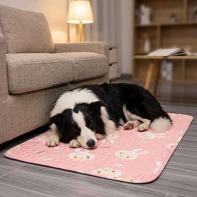 toutou allonger sur Tapis Chien rafraichissant doux 