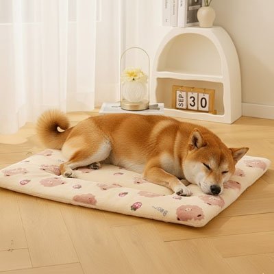 toutou allonger sur tapis pour Chien en tissu moelleux 