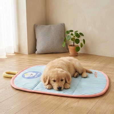 toutou allonger sur Tapis rafraichissant  Chien