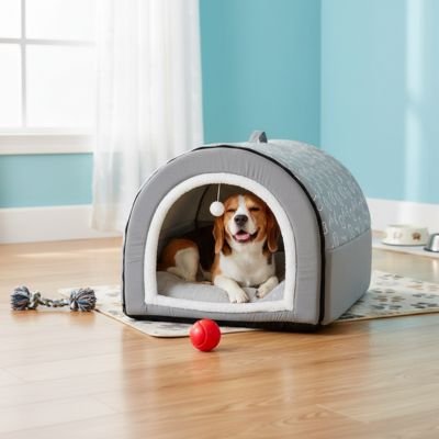 toutou assis dans niche pour grand Chien transforme en panier 