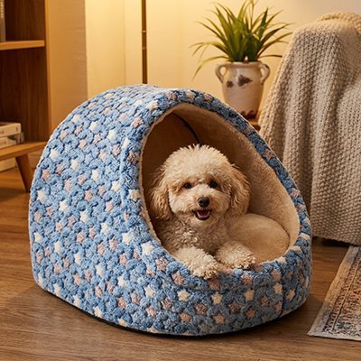 toutou assis dans panier pour Chien 