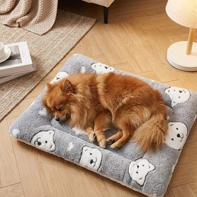 toutou assoupie dans tapis pour Chien confortable