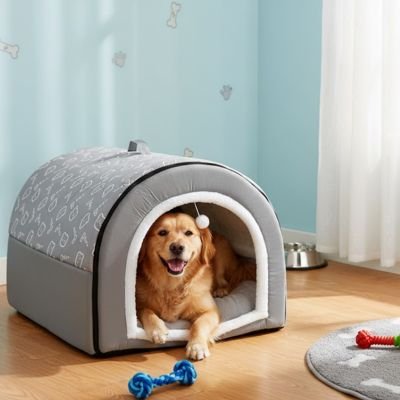 toutou content dans la  niche pour grand  Chien solide