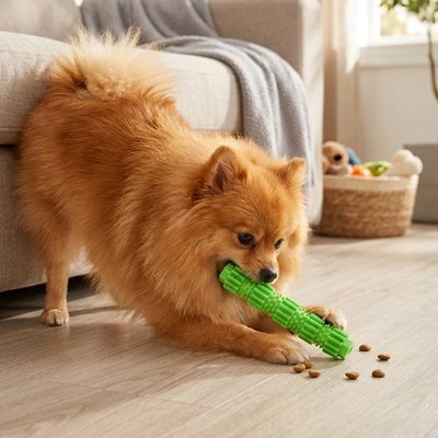 toutou content de Jouet pour chien​ 