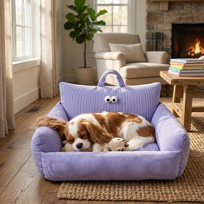 toutou dans Canapés pour Chiens violet 